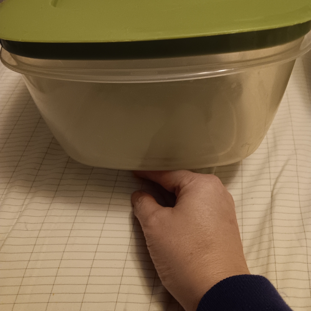Rubbermaid Food Storage Container with Green Lid